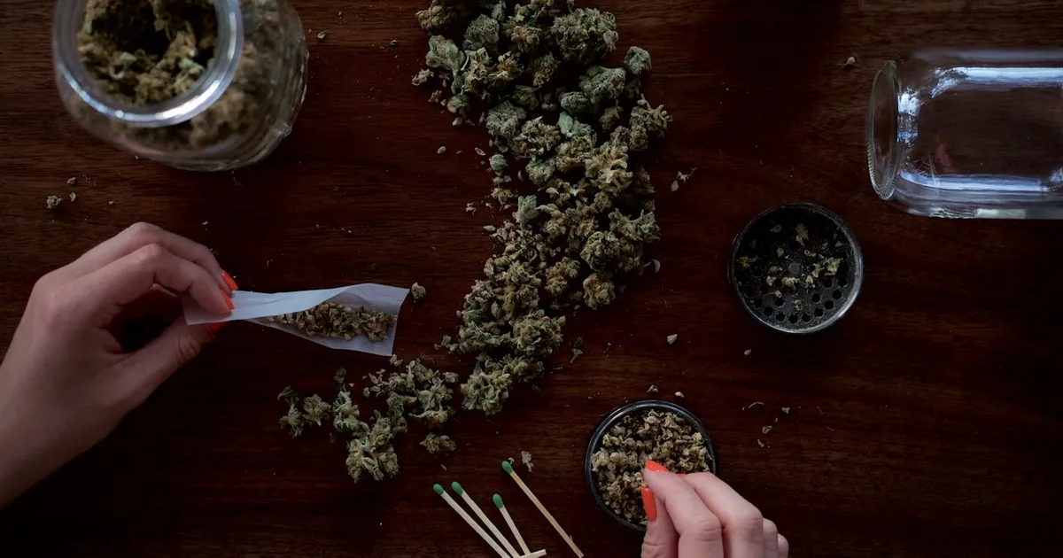 How to choose a cannabis strain